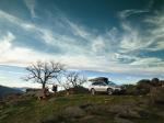 Subaru Outback 2017 года (NA)
